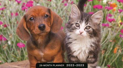 2022/2023 Daily Planner: Whiskers & Paws (28 Months) - DaySpring